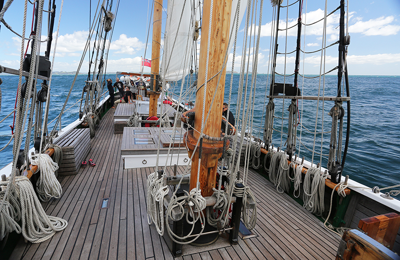 Sail on the R Tucker Thompson, Bay of Islands, NZ